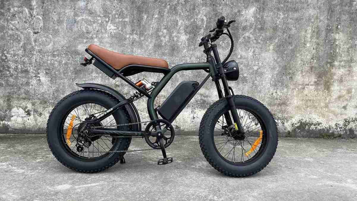 electricbikes