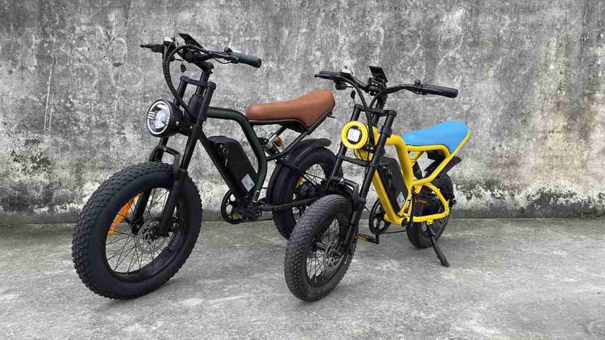 Fat Electric Cycle