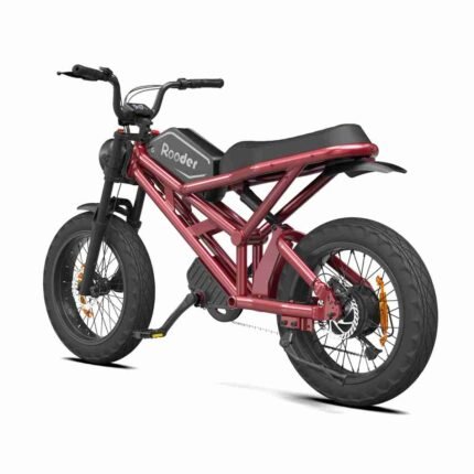 Fat Tire Electric Bicycle For Sale