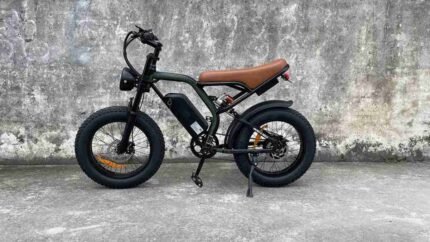 Fat Tire Electric Bike 750 Watt