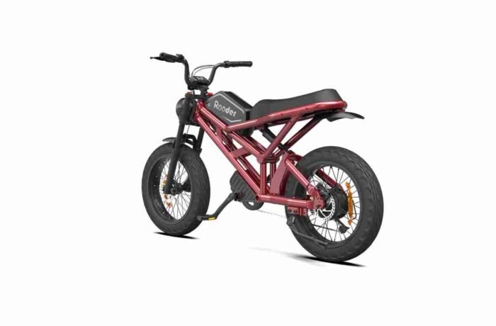 Fat Tire Electric Bike 750w