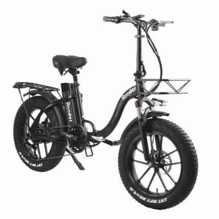 Fat Tire Electric Cycle