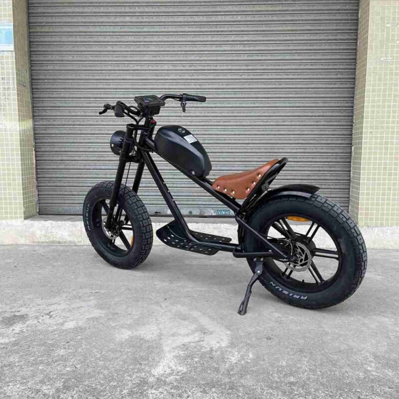 Folding 20 Inch Electric Bike