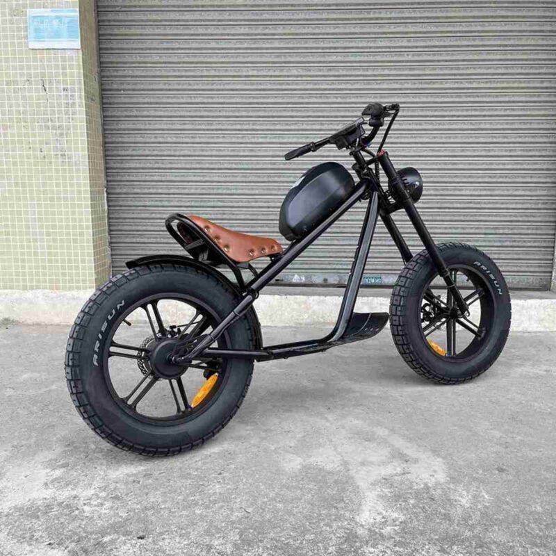 Folding E Bike