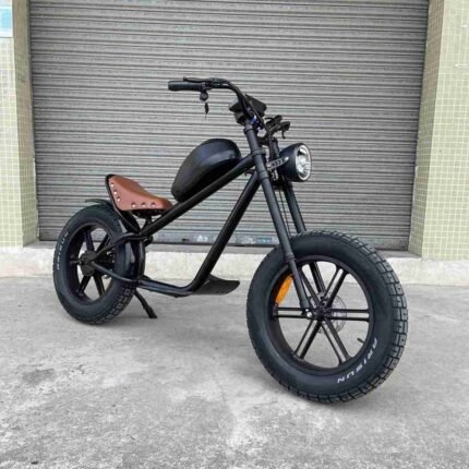 Folding Electric Bicycles For Adults