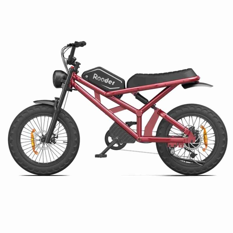 Folding Electric Bike 20 Inch