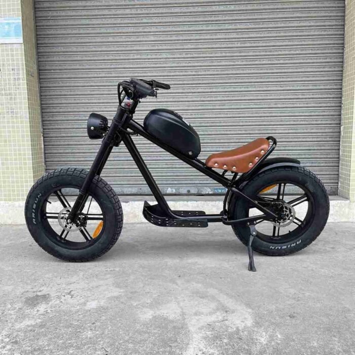 Folding Electric Bike Full Size