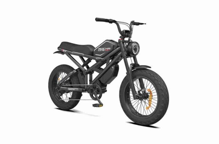 High Power Electric Bike