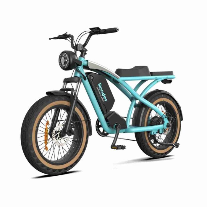 Hybrid Fat Tire Electric Bike