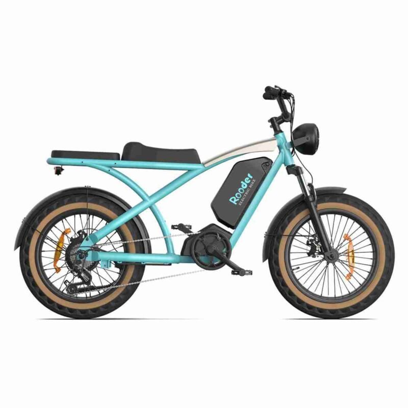 Large Tire Electric Bike