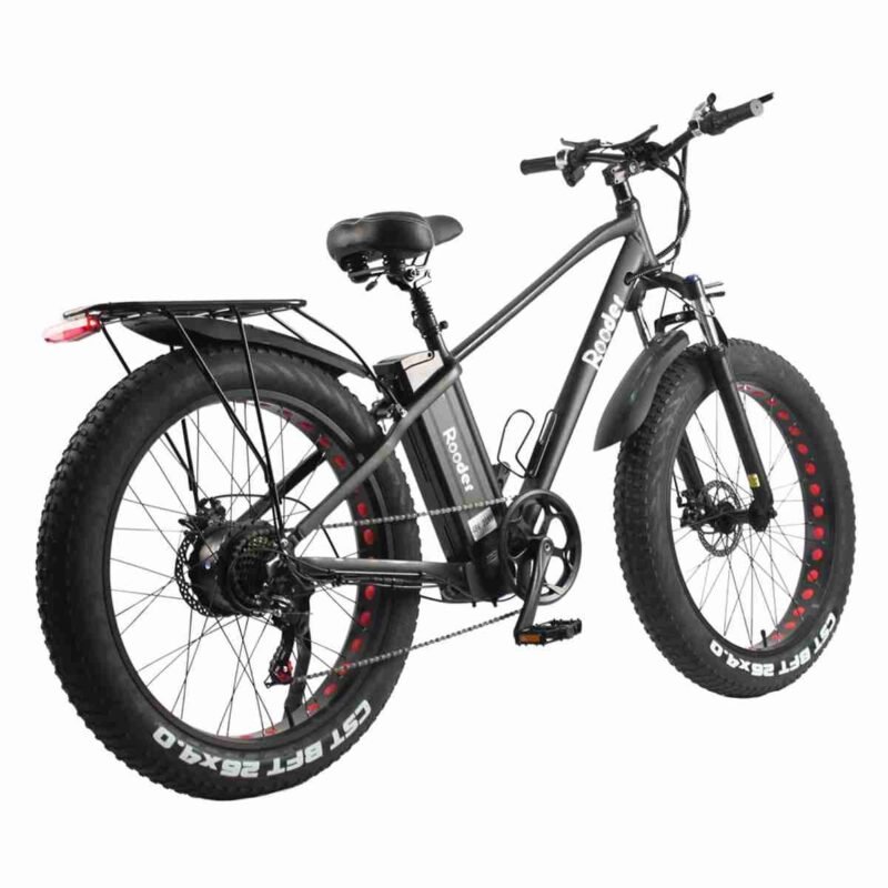 long range electric bike