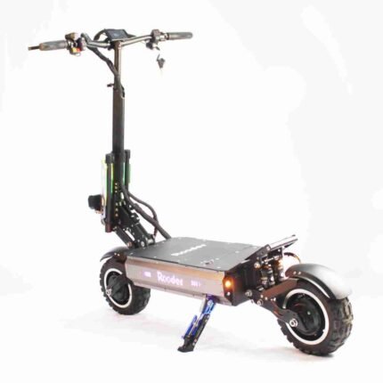 Stand Up Electric Scooter