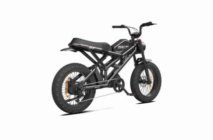 Thick Tire Electric Bike