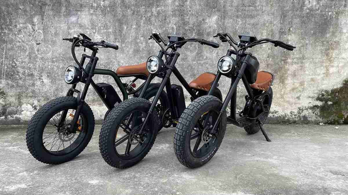 Top Rated Fat Tire Electric Bike