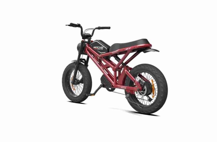 Top Rated Folding Electric Bike