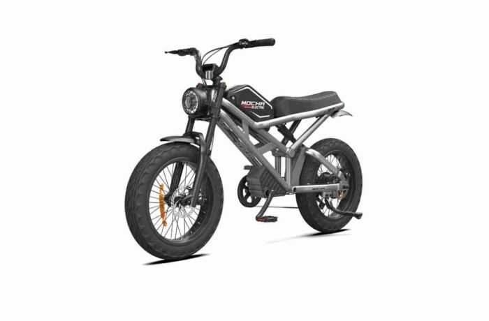 Wide Tire Electric Bike