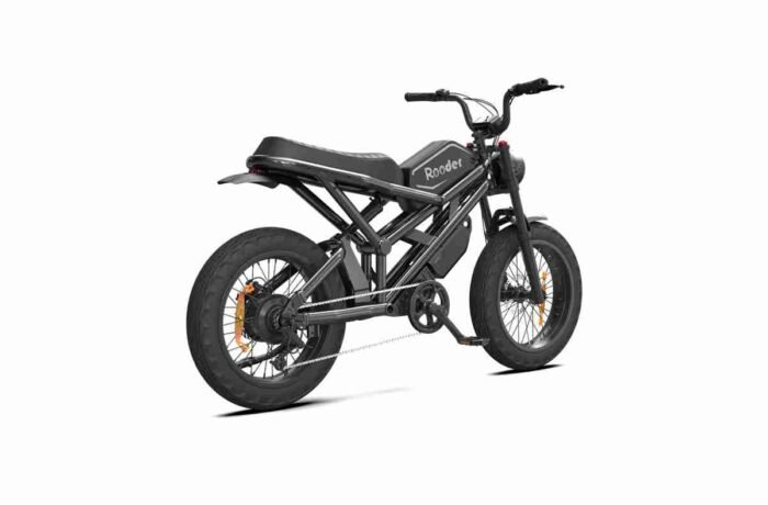 All Terrain Electric Bike