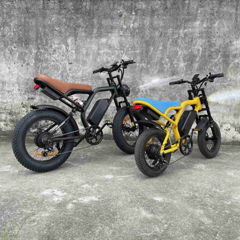 best 1000 watt electric bike