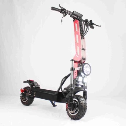 dual motor scooter