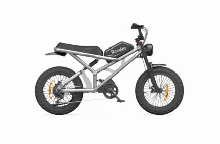 electric fat bike