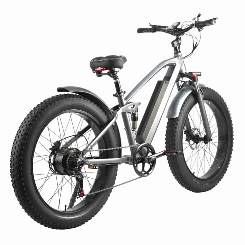 elektrikli bike