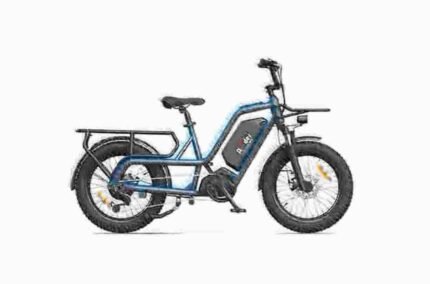 Chinese Electric Bike dealer manufacturer factory wholesale