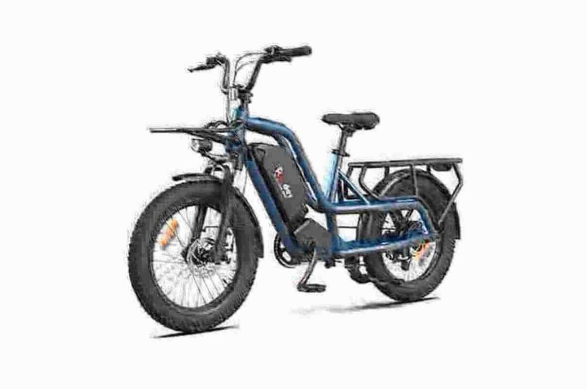 Fat Tire Electric Bike 750 Watt dealer manufacturer wholesale