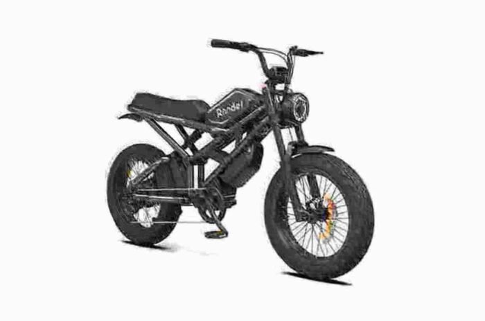 fat tyre ebike dealer manufacturer factory wholesale