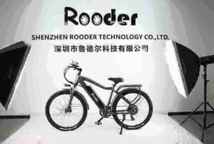 cheap electric bicycle dealer manufacturer factory wholesale