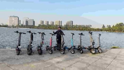 green electric scooter dealer manufacturer factory wholesale