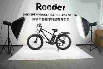 two person electric bike dealer manufacturer factory wholesale