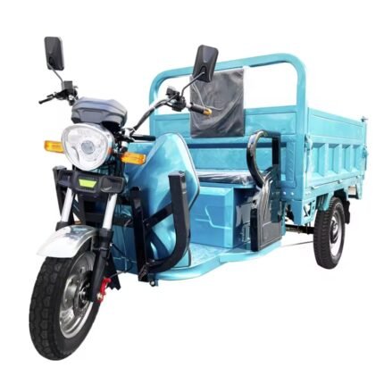 electric cargo tricycle for adults HM-9.3 2000W