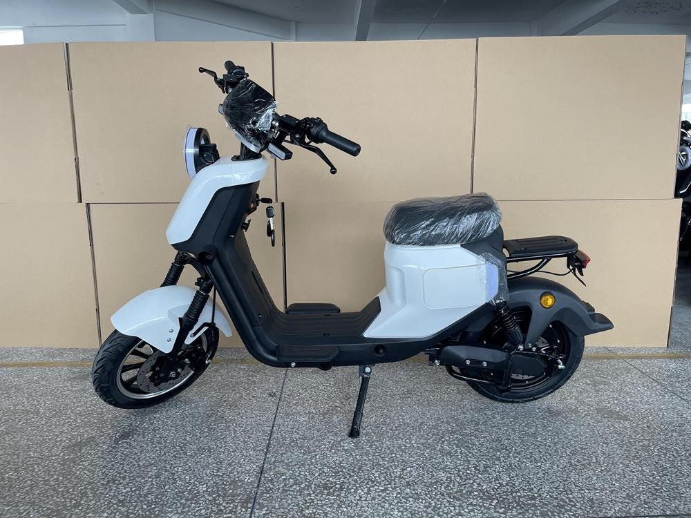 3 Wheel Motorised Scooter: Best Models Reviewed