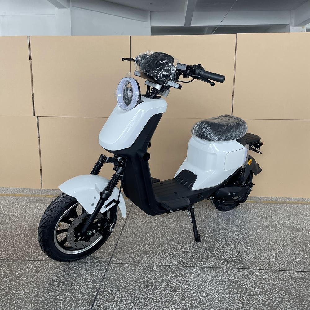 400 Electric Bike: Compact and Efficient Rides