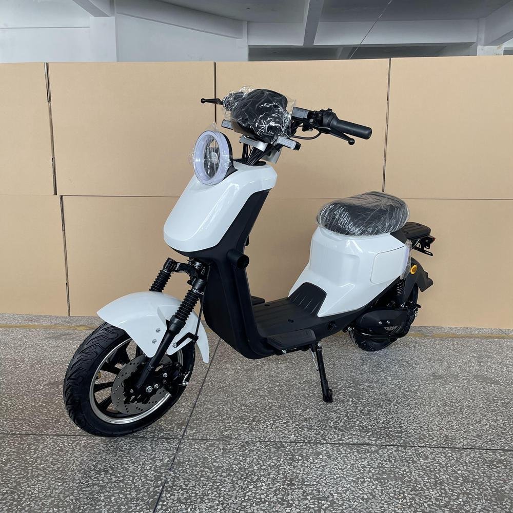 5000W Electric Motorcycle: High-Performance Models