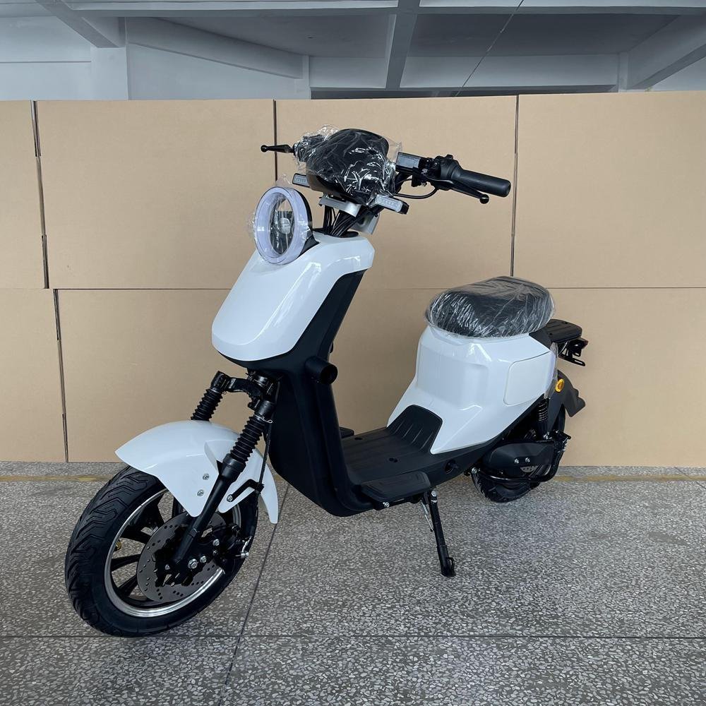 All New Electric Bike Models of 2024