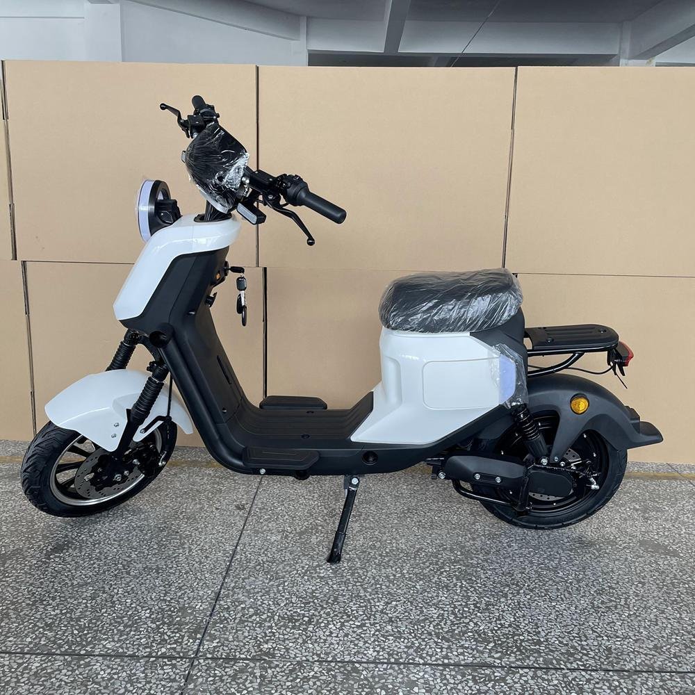 Comparing Battery Capacities of Electric Scooters