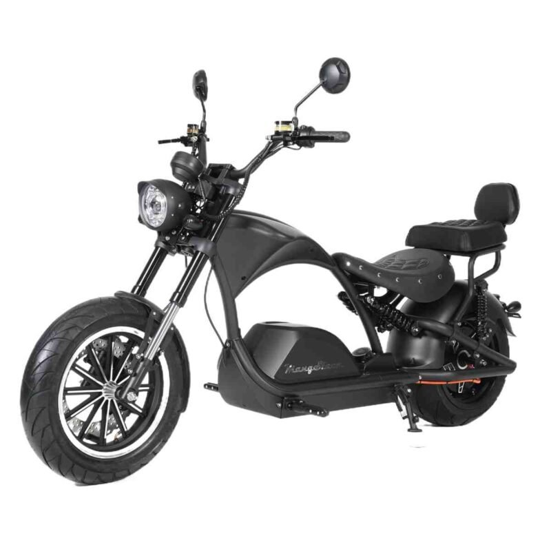 Discover the Versatile M1PS Electric Motorcycle by Rooder