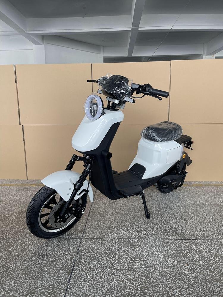 Electric Battery for Scooter: Best Models