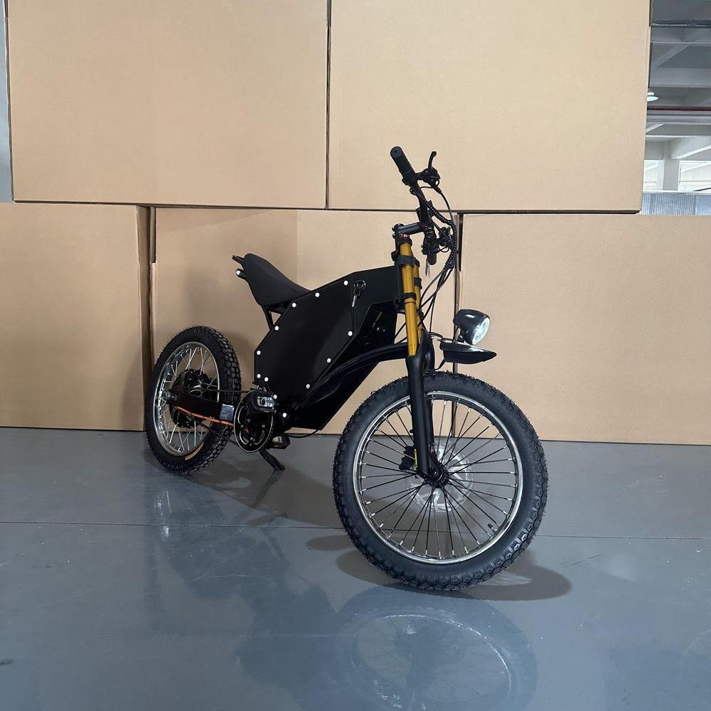 Electric Bicycles with Lithium Batteries