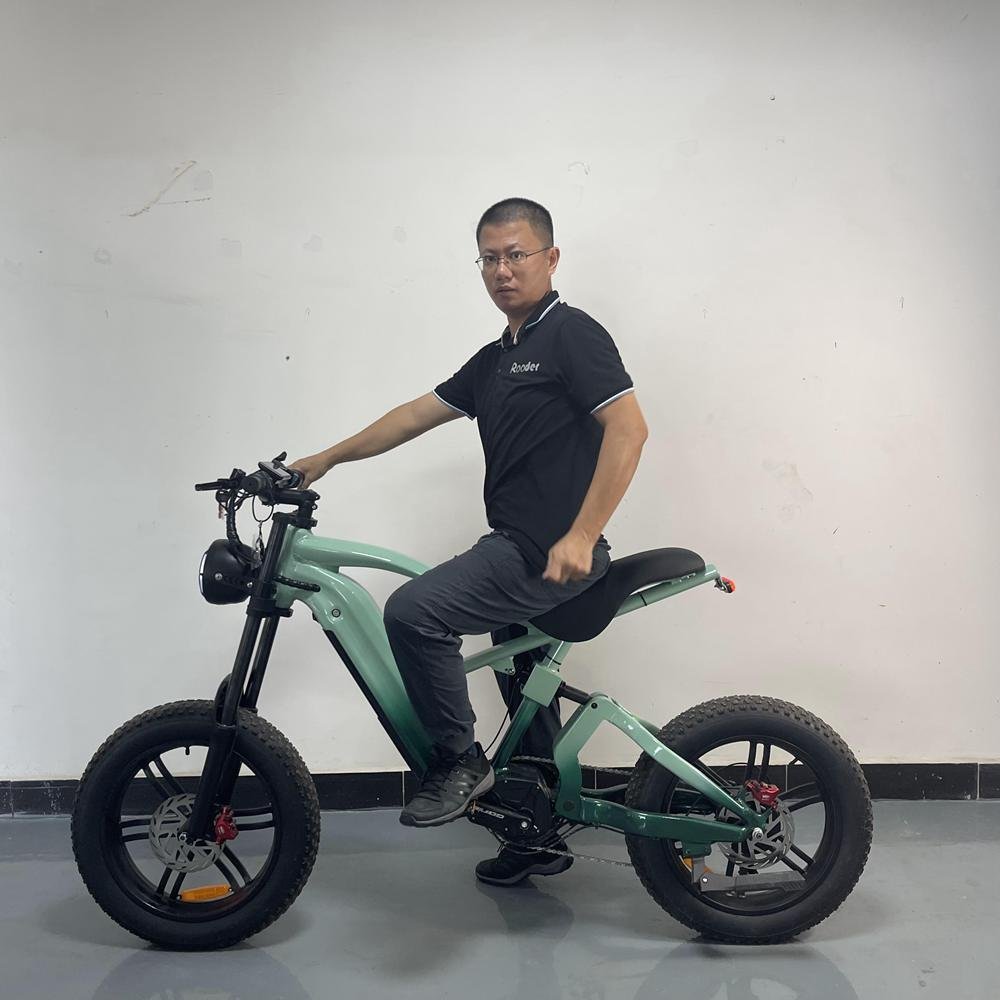 Electric Mini Motorcycle: Compact Powerhouses