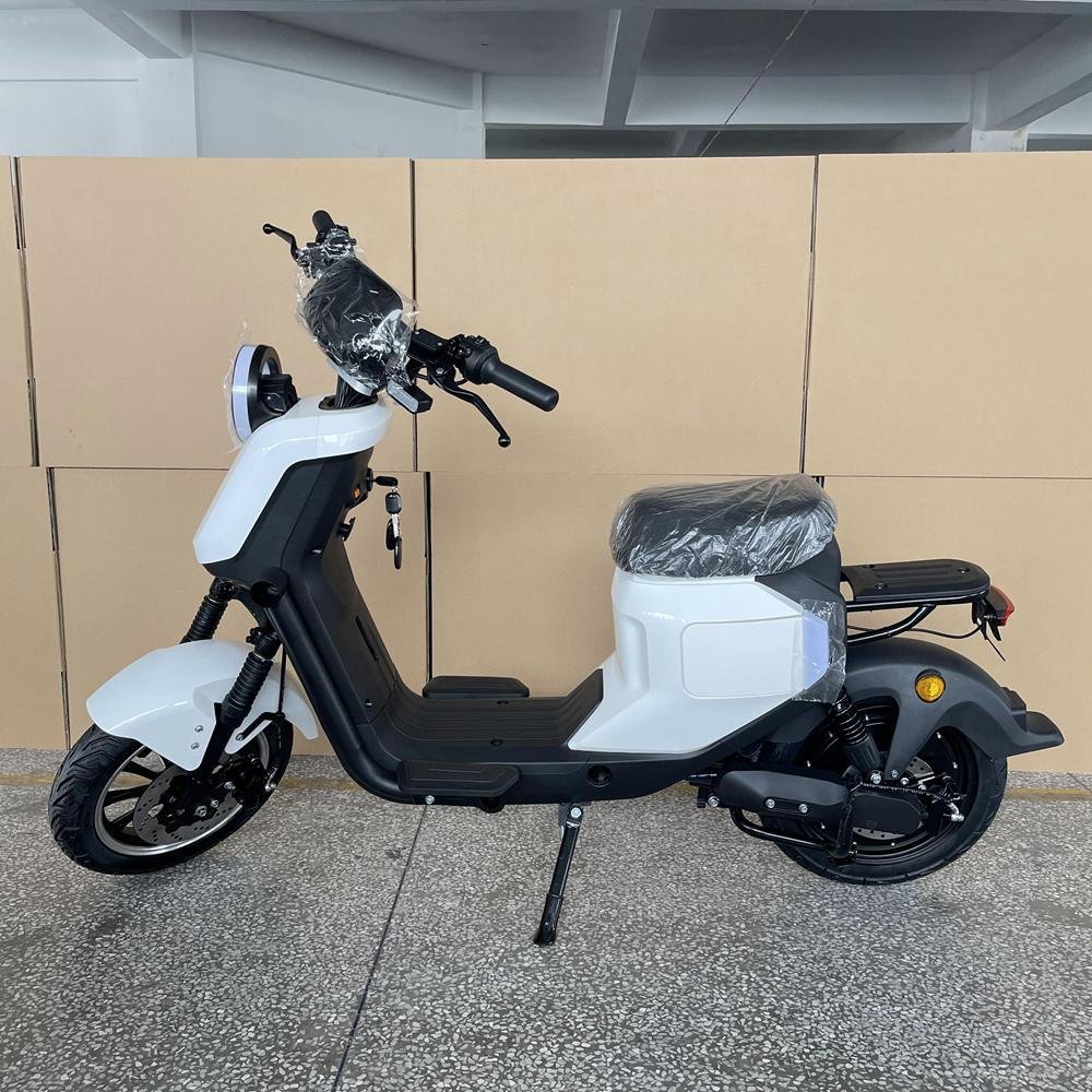 Electric Motor Bike for Adults: Best Picks