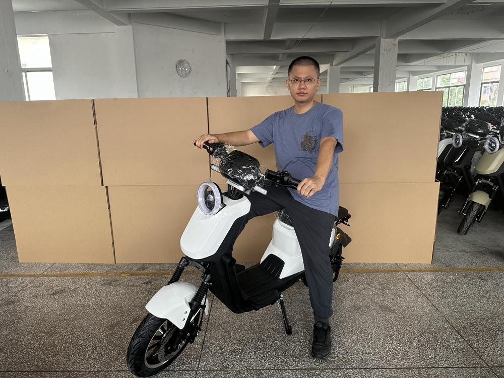 Electric Motorcycle Market in China