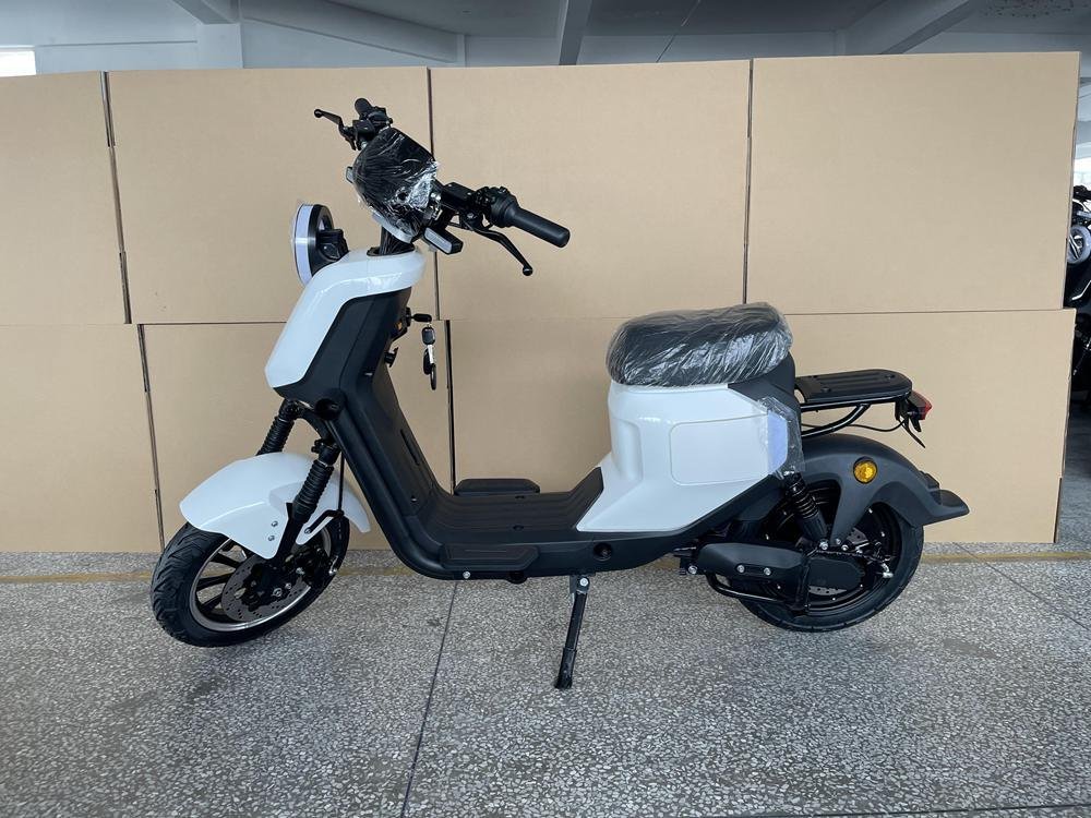 Electric Scooter 80: Best Models