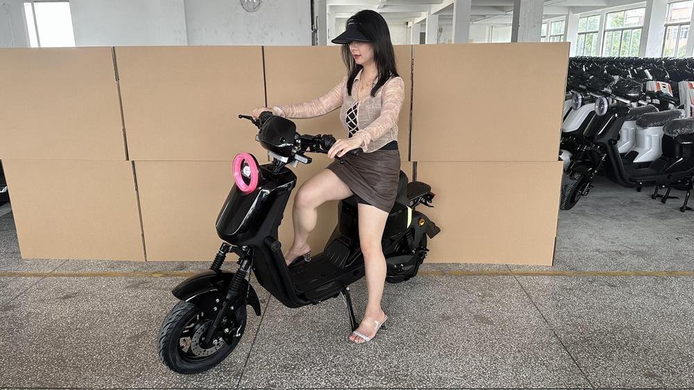 Electric Scooter Rankings: Top Models Reviewed