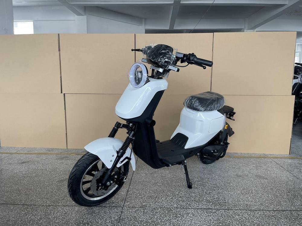 Electric Scooter Thing: Unique Models