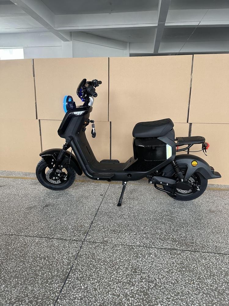 Electric Scooter with Sidecar: Unique and Practical