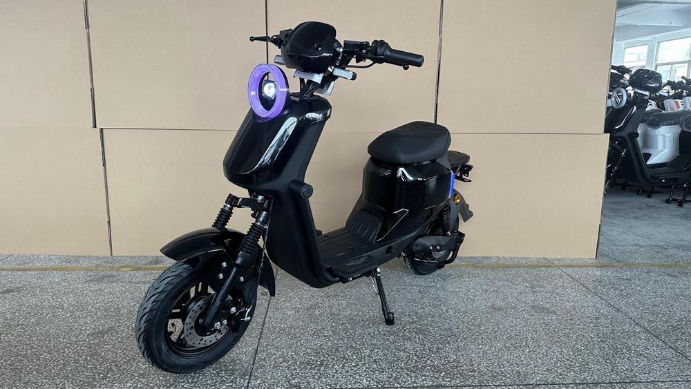 Electric Scooter with Trailer: Unique Options