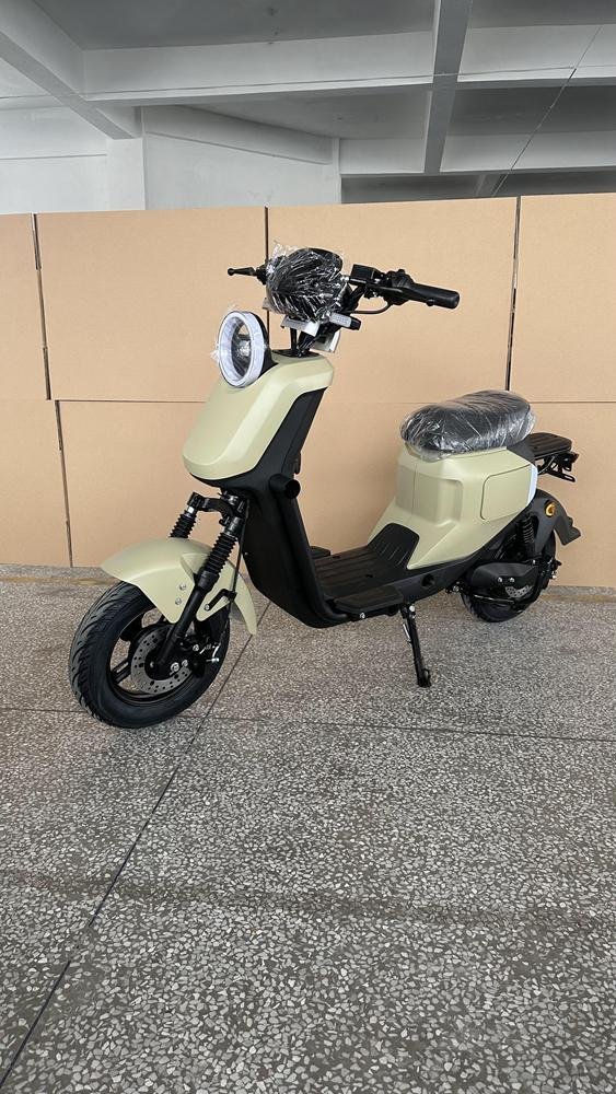 Electric Scooters Limited: Best Models