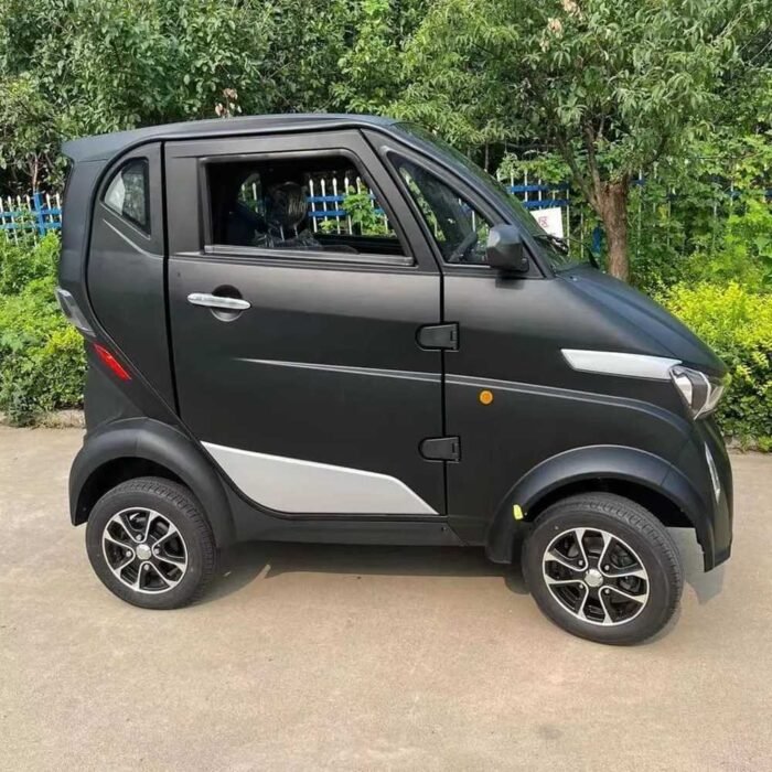 Electric Vehicle jinma2001 EEC approved L6E 105ah